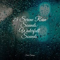 Rainy Woodland Ambience - Kinderlieder Megastars & Soothing Chill Out For Insomnia & Rain Sounds & Nature Sounds