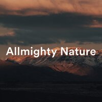 Ethereal - Lightning, Thunder and Rain Storm & Calming Rainforest Sounds & Sonido Del Bosque y Naturaleza