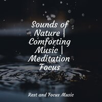Calm Universe - Calming Sounds & Nature Sounds Nature Music & White Noise Sleep Sounds