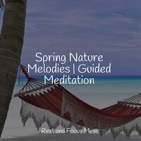 Spring's Awakening - Massage Tribe & Happy Baby Lullaby Collection & Lullaby Babies