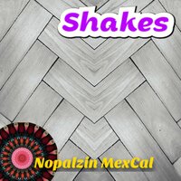 El Día Que Te Vayas No Vuelvas Jamás - Nopalzin