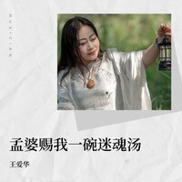 孟婆赐我一碗迷魂汤 - 王爱华