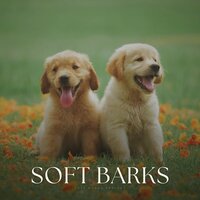 Outsmarting the Adversary - Dog Calming Music