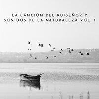 Temprano Por La Mañana - Musica relajante con sonidos de la naturaleza & Musica Relajante Specialistas & Musica Para Dormir Rapido
