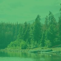 Настроения (Успокаивающий) - заводной Расслабляющая гитара