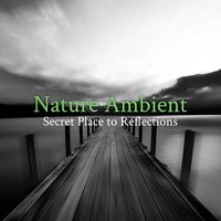 Kundalini Meditation - Sounds of Nature Kingdom