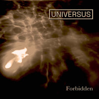 When She Said - universus