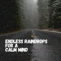 Nocturnal Melody - Rainfall