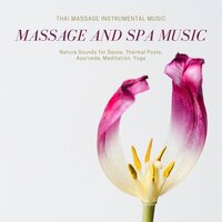 Meditation and Yoga - Relaxation and Meditation Spa Music