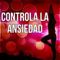 Mùsica para Meditaciòn Vipassana - Academia de Música para el Alma