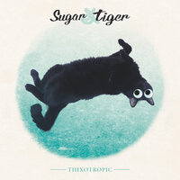 Disco Baby - Sugar