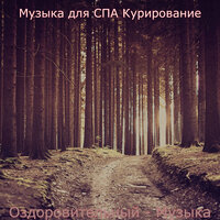 Звуки (спа) - Музыка для СПА Курирование