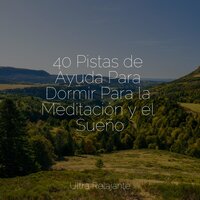 Árboles Que Silban - Academia de Meditação Buddha & Meditacion & Musicas Crianças
