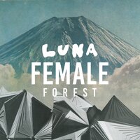 All for One - Female Forest