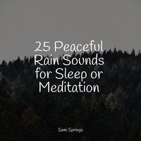Raindrop Shower - Sleepy Times & Meditation Zen & Ruído branco