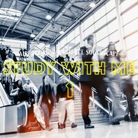 Airport Rush Ambience Soundscape, Pt. 15 - Bryan Maxwell