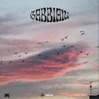 Gabbiani - Marco.