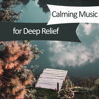Nature Sounds - Spa, Relaxation and Dreams