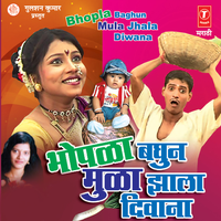 Vay Majhe Jhale Sola - Niti Nayar