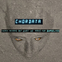 Whirligig - Chordata