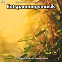 Entspannungsmusik pt. 60 - Entspannungsmusik Erik Lisen & Schlafmusik & Entspannungsmusik