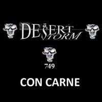 Sitar - Desert Storm