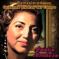 Sin mañana ni ayer - Amalia Mendoza