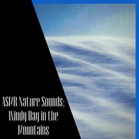 Wind: Howling Nighttime Wind - ASMR Wind Channel & Wind Noise & Sleep & Wind White Noise Channel