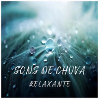 Barulho de Chuva Para Relaxar, Pt. 40 - Relaxing Music for Dogs & Musica Para estudiar Academy & Barulho da Chuva Para Dormir