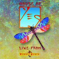 Face To Face - Yes