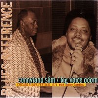 Untitled Instrumental - Sunnyland Slim