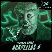 Think Fast - Thayana Valle