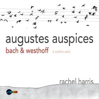Violin Sonata No. 2 in A-Moll, BWV 1003: III. Andante - Rachel Harris & Johann Sebastian Bach