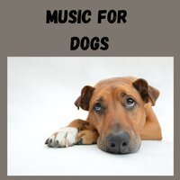 Doggy Daydreams - Music for Dogs & Music for Dogs Peace & Relaxing Puppy Music & Calm Pets Music Academy