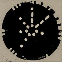 Diatoms - Isnaj Dui