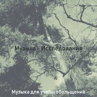 Впечатление (Концентрация) - Музыка для учебы обольщение