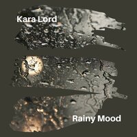 The Aura of Rain - Kara Lord