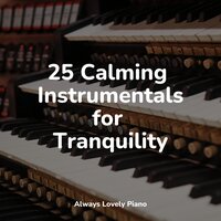 The Essence of Consciousness - PianoDreams & Chillout Lounge Relax & Tranquil Music Sound Of Nature