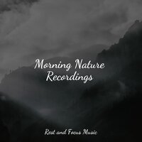 Asleep in the Forest - Alpha Waves & Ruído branco & Deep Sleep Relaxation