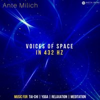 Voice IX - Ante Milich