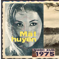 Biển Mặn - Phương Phạm Guitarist