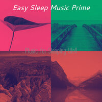 Peaceful Ambience for Naps - Easy Sleep Music Prime