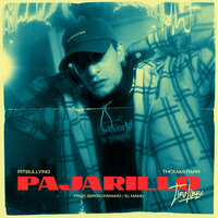 Pajarillo, Tiro Libre - pitbullying & Thomas Parr & Sergio Paramo