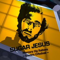 Criminal - Sugar Jesus