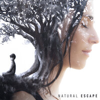 Blissful Sounds of Water - Nature Sounds Artists & Sounds Of Nature Relaxation