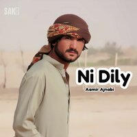 Nishtagon Tanya - Aamir Ajnabi