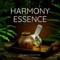 Ethereal Cloud Dance - Spa Music Collection