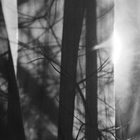 Red Threads Over Grey - Alex Kozobolis