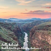 Desolate Forest Region Riverflow Ambience, Pt. 12 - Steve Brassel