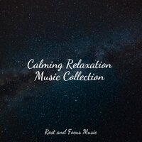 Winds of the Forest - Zen Music Garden & Healing Sounds for Deep Sleep and Relaxation & Binaural Beats Isochronic Tones Lab